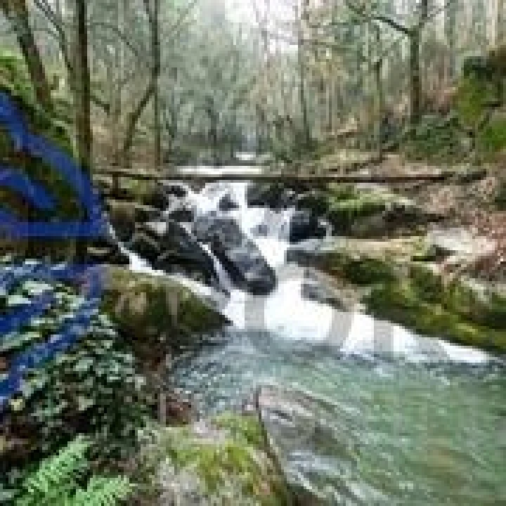 Terreno para Venda em Carreira e Refojos de Riba de Ave Foto 20