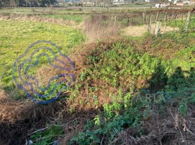Terreno para Venda em Carreira e Refojos de Riba de Ave Foto 6