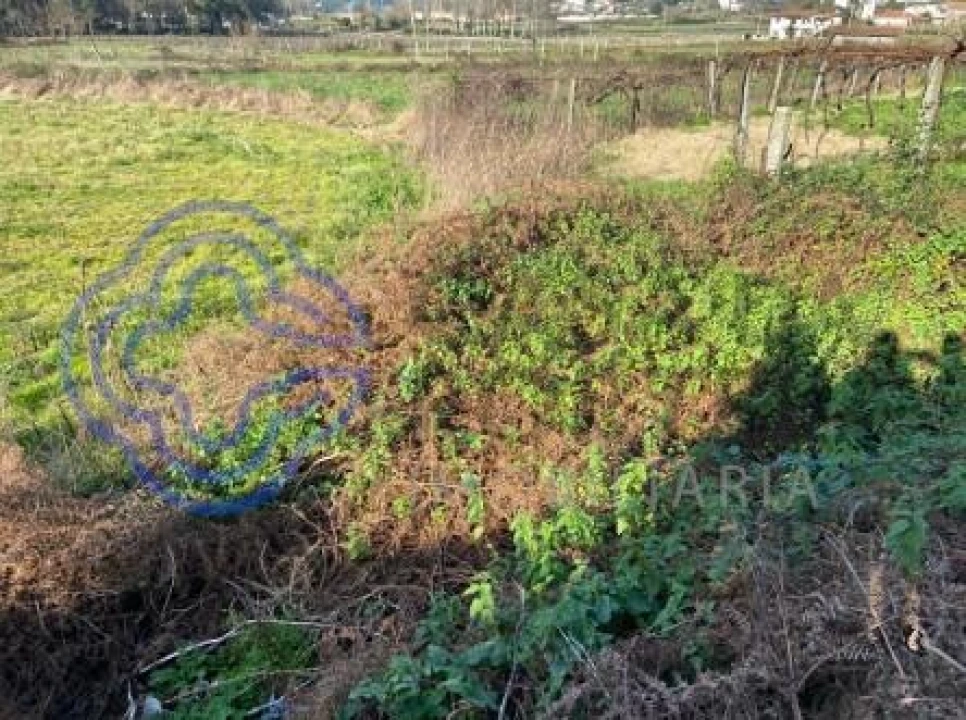 Terreno para Venda em Carreira e Refojos de Riba de Ave Foto 6
