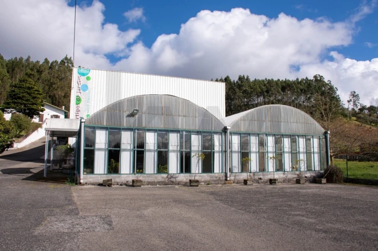 Armazém para Venda em Coz, Alpedriz e Montes Foto 10