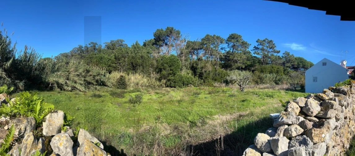 Terreno para Venda em Santa Maria e São Miguel, São Martinho, São Pedro Penaferrim Foto 6