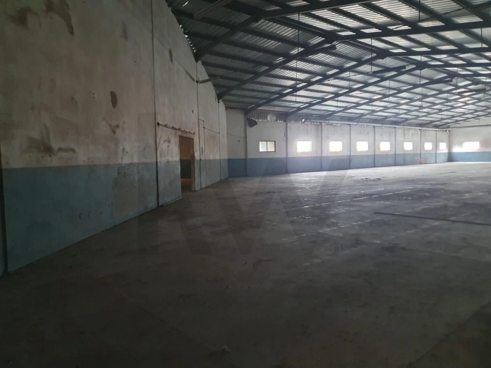 Armazém para Arrendamento em Juncal Foto 3