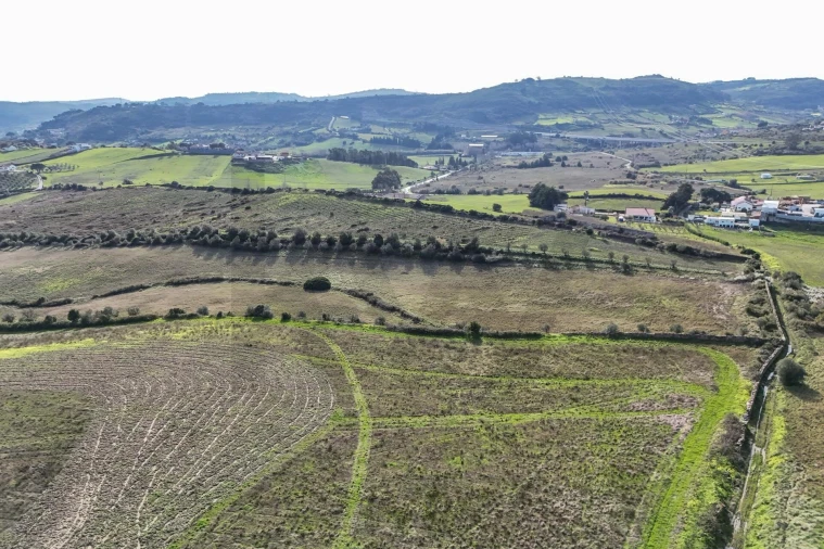 Terreno para Venda em Alhandra, São João dos Montes e Calhandriz Foto 6