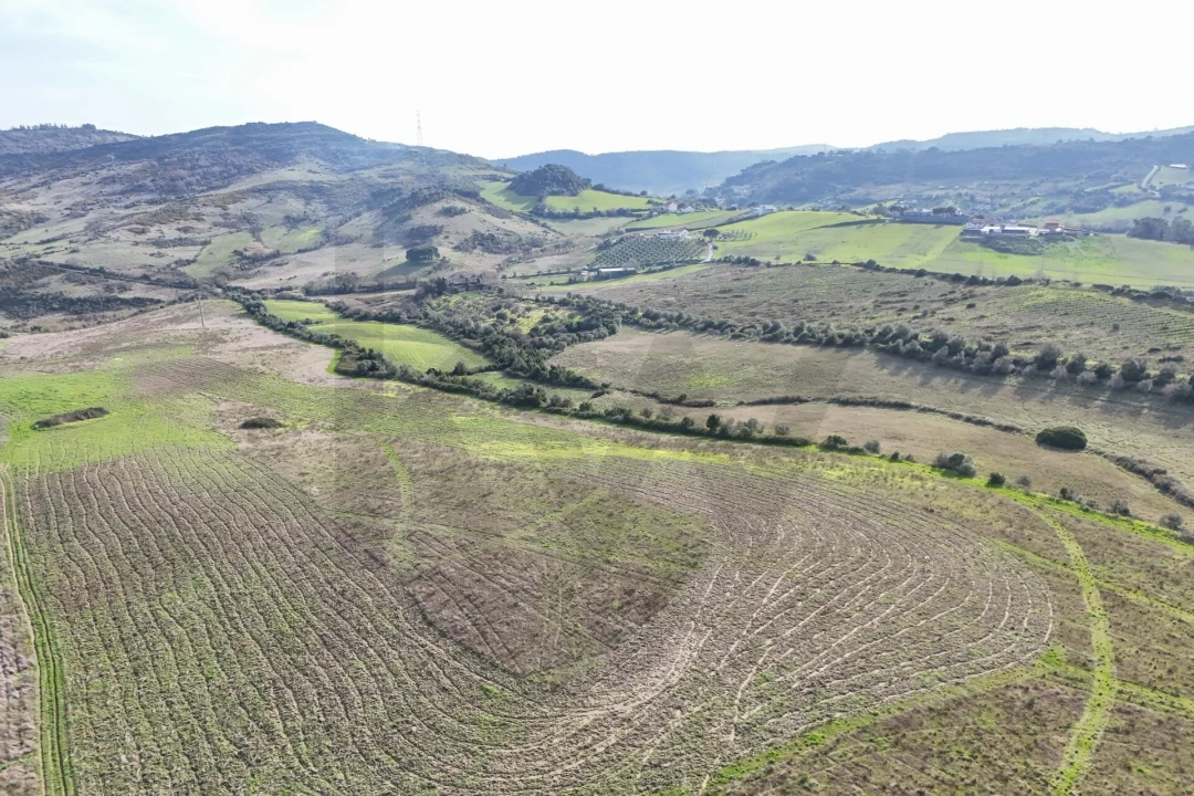 Terreno para Venda em Alhandra, São João dos Montes e Calhandriz Foto 7