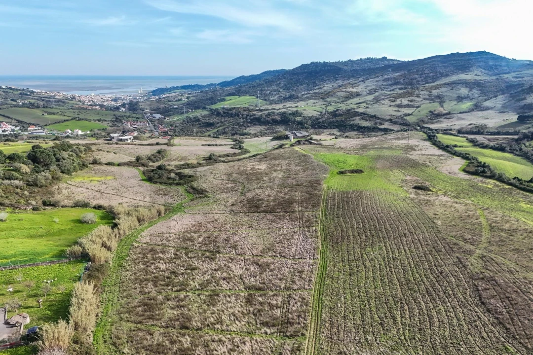 Terreno para Venda em Alhandra, São João dos Montes e Calhandriz Foto 5