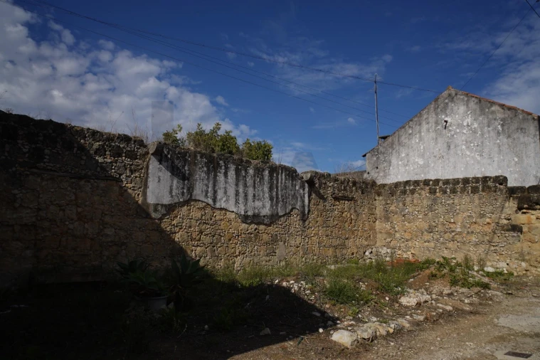 Terreno para Venda em Achete, Azoia de Baixo e Póvoa de Santarém Foto 15