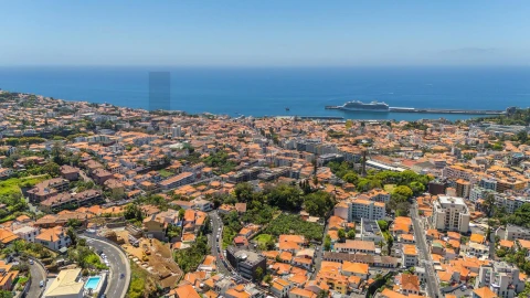 Apartamento T1 para Venda em Funchal (Santa Luzia)