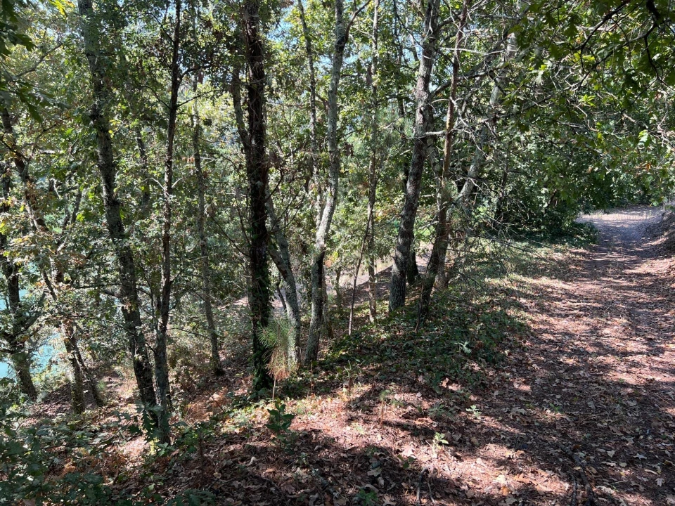 Quinta T5 para Venda em Sande e São Lourenço Foto 126