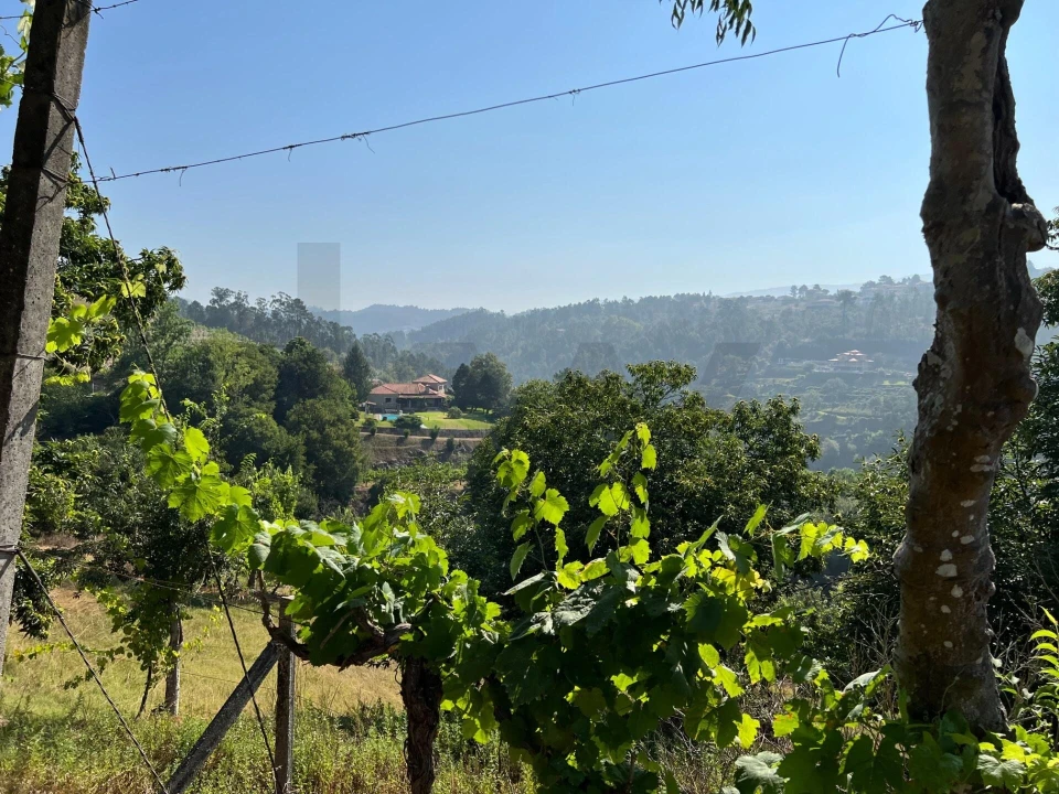 Quinta T5 para Venda em Sande e São Lourenço Foto 135