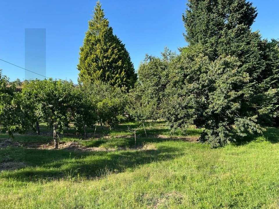 Quinta T5 para Venda em Sande e São Lourenço Foto 110