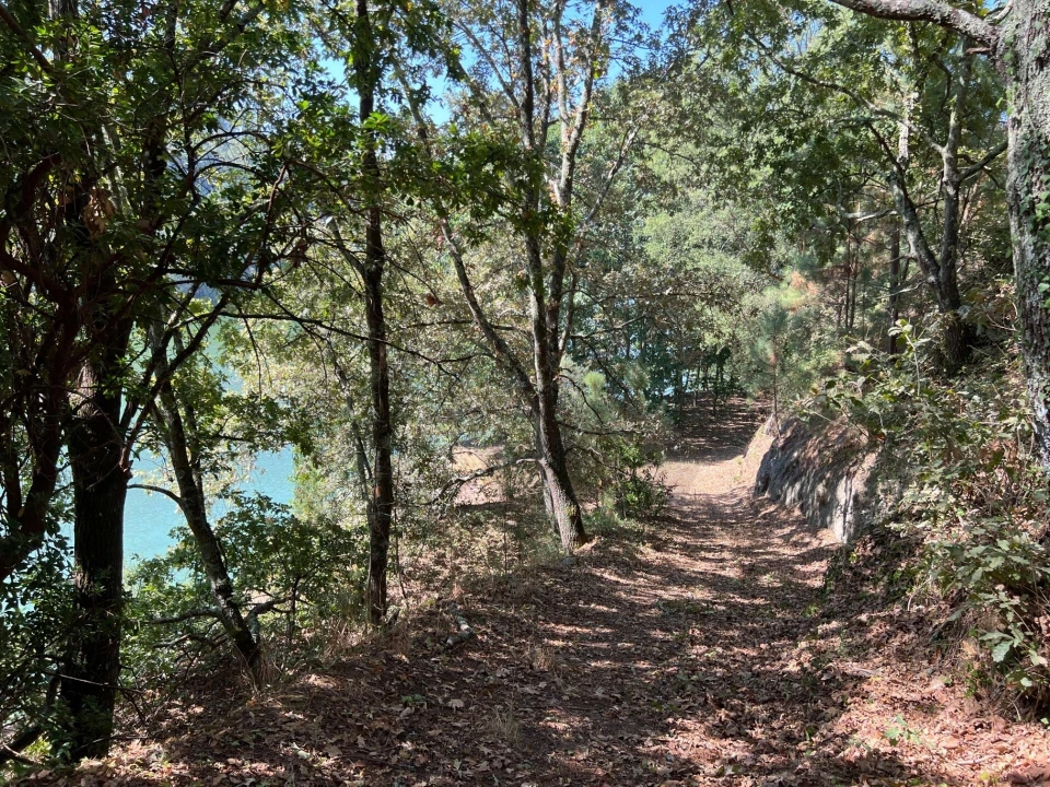 Quinta T5 para Venda em Sande e São Lourenço Foto 97