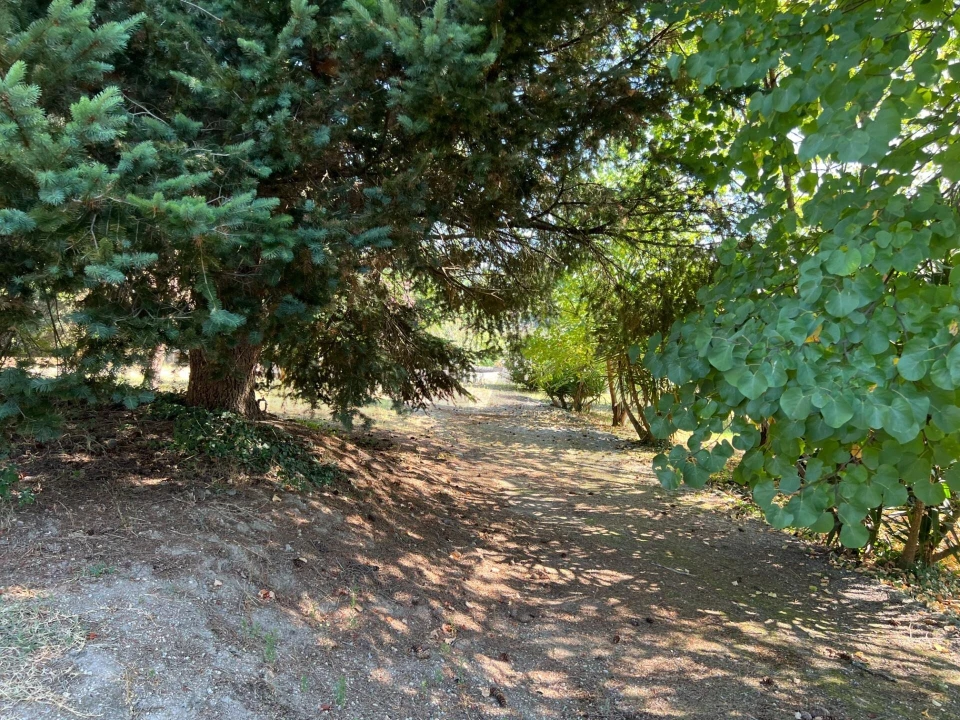 Quinta T5 para Venda em Sande e São Lourenço Foto 131