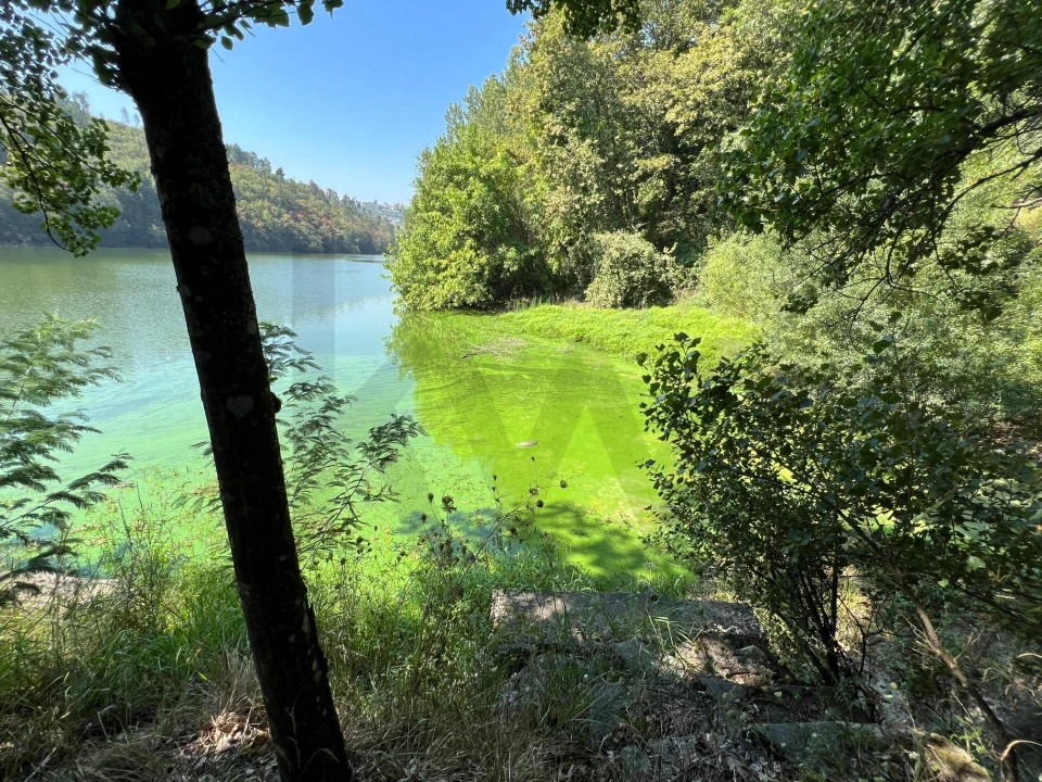 Quinta T5 para Venda em Sande e São Lourenço Foto 107