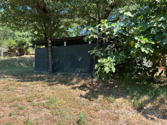 Quinta T5 para Venda em Sande e São Lourenço Foto 115