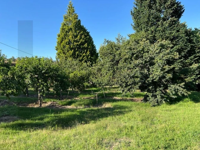 Quinta T5 para Venda em Sande e São Lourenço Foto 110