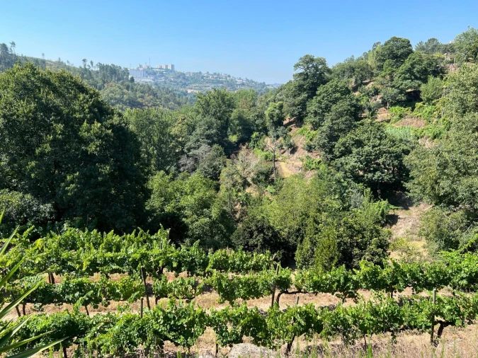 Quinta T5 para Venda em Sande e São Lourenço Foto 127