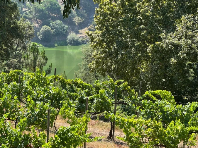 Quinta T5 para Venda em Sande e São Lourenço Foto 94