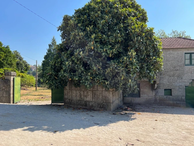 Quinta T5 para Venda em Sande e São Lourenço Foto 64