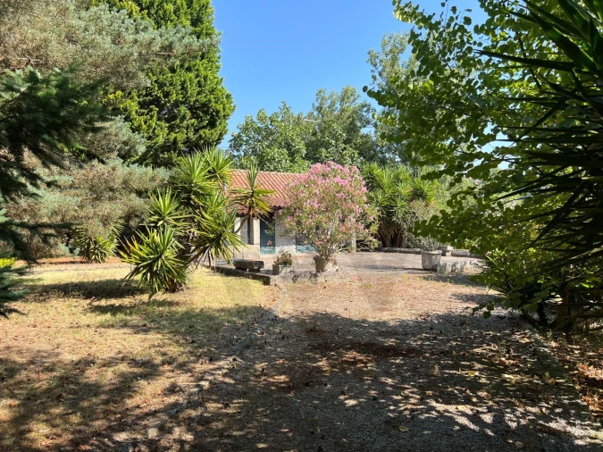 Quinta T5 para Venda em Sande e São Lourenço Foto 132