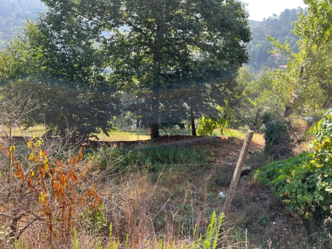 Quinta T5 para Venda em Sande e São Lourenço Foto 133