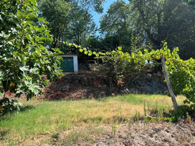 Quinta T5 para Venda em Sande e São Lourenço Foto 116