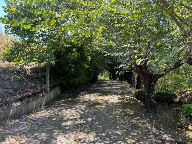 Quinta T5 para Venda em Sande e São Lourenço Foto 112