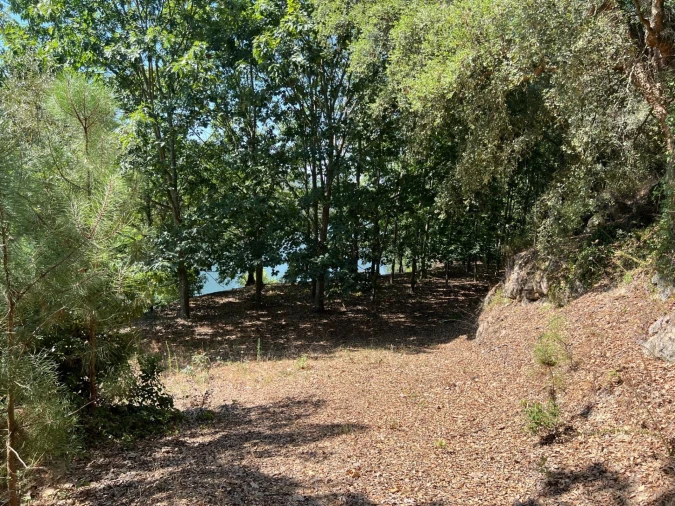 Quinta T5 para Venda em Sande e São Lourenço Foto 98