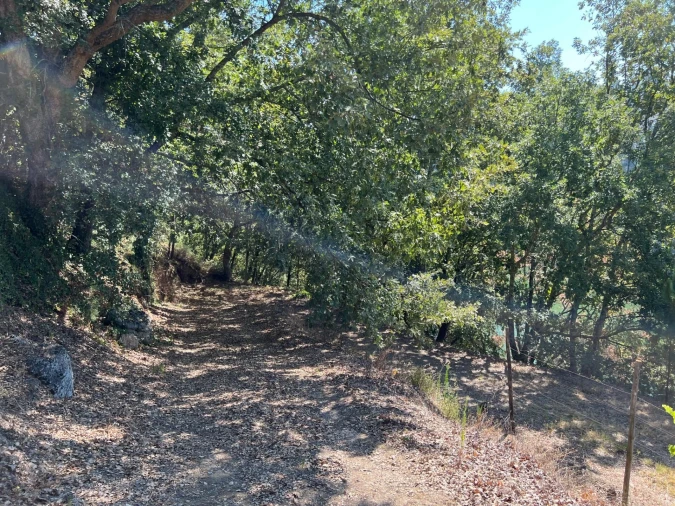 Quinta T5 para Venda em Sande e São Lourenço Foto 122