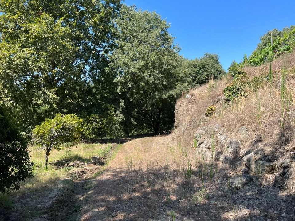 Quinta T5 para Venda em Sande e São Lourenço Foto 118