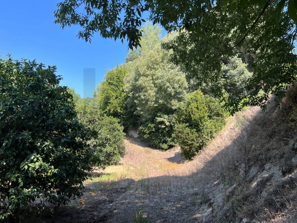 Quinta T5 para Venda em Sande e São Lourenço Foto 117