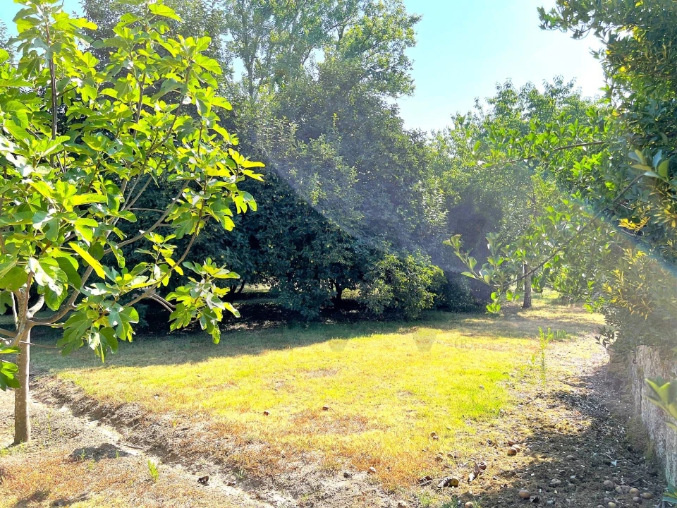 Quinta T5 para Venda em Sande e São Lourenço Foto 134