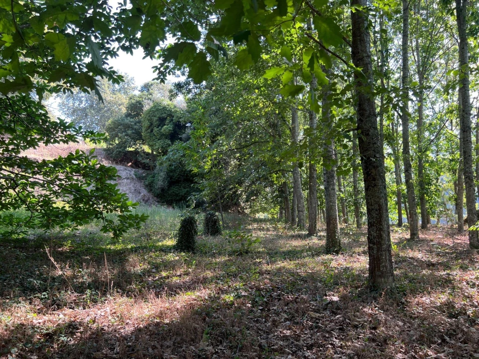 Quinta T5 para Venda em Sande e São Lourenço Foto 119