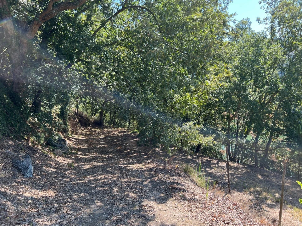 Quinta T5 para Venda em Sande e São Lourenço Foto 122