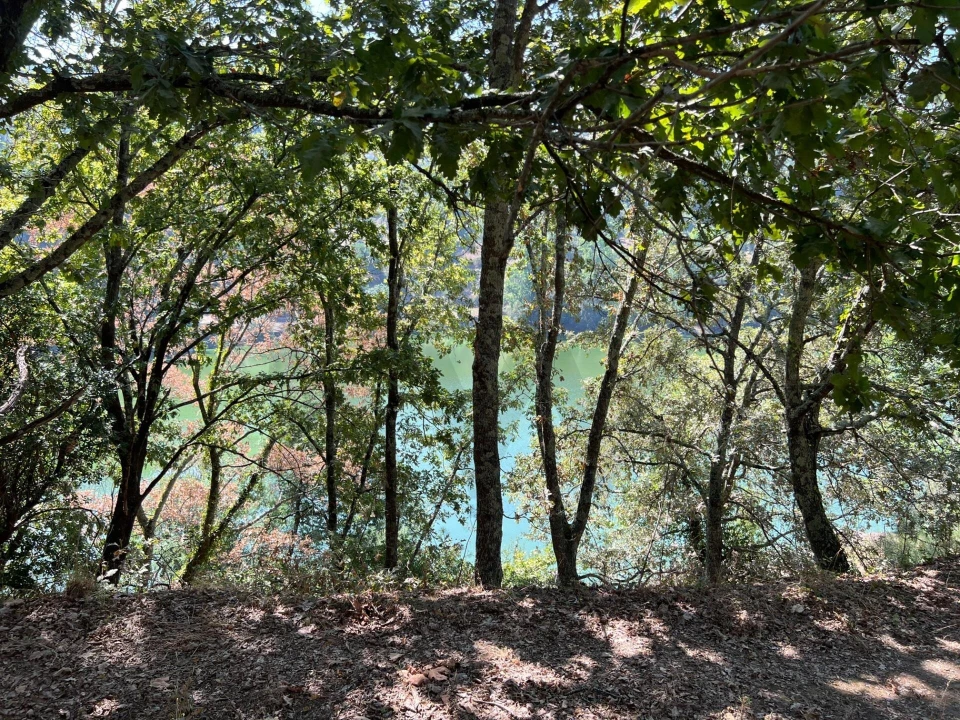 Quinta T5 para Venda em Sande e São Lourenço Foto 95