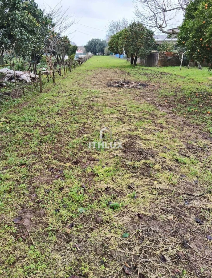 Moradia T3 para Venda em Travassô e Óis da Ribeira Foto 3