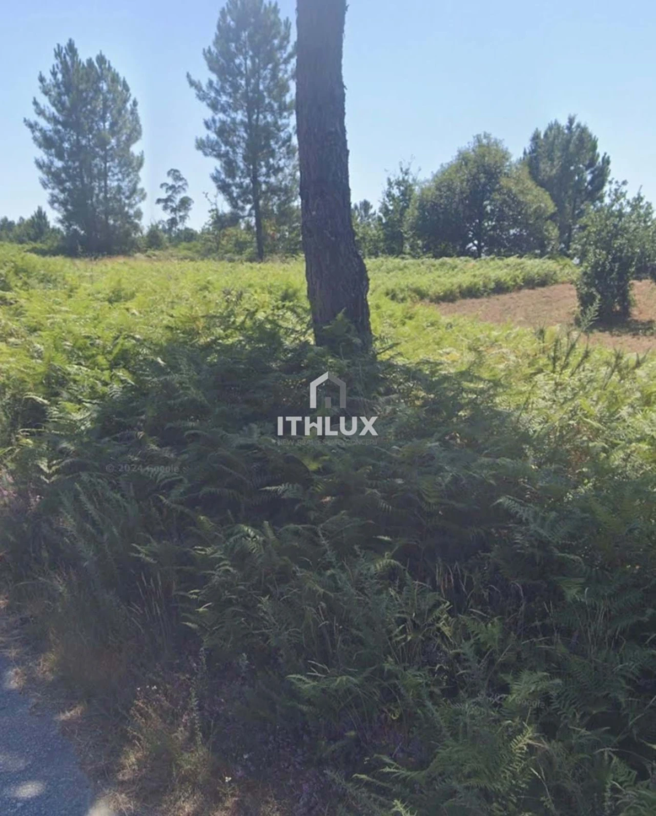 Terreno para Venda em Cabeceiras de Basto Foto 1