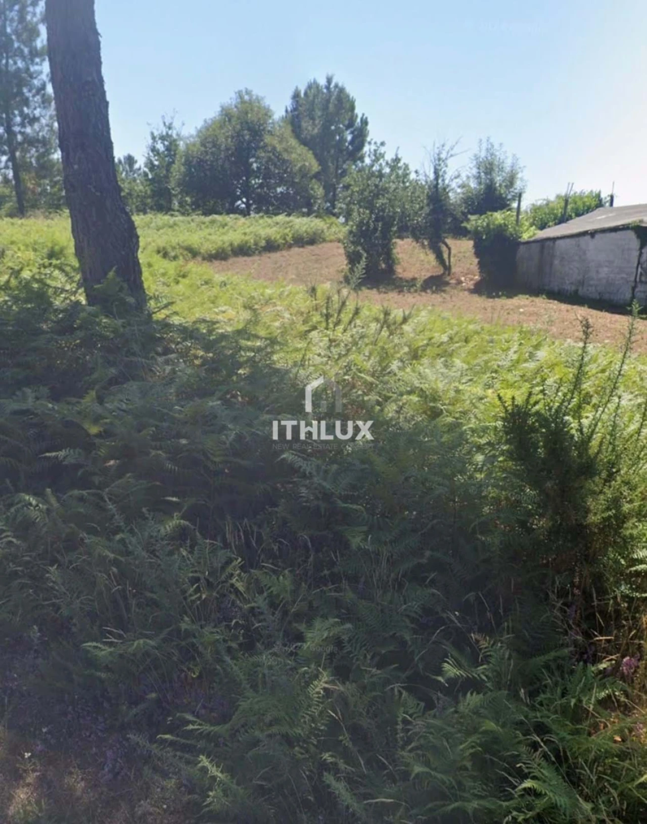 Terreno para Venda em Cabeceiras de Basto Foto 2