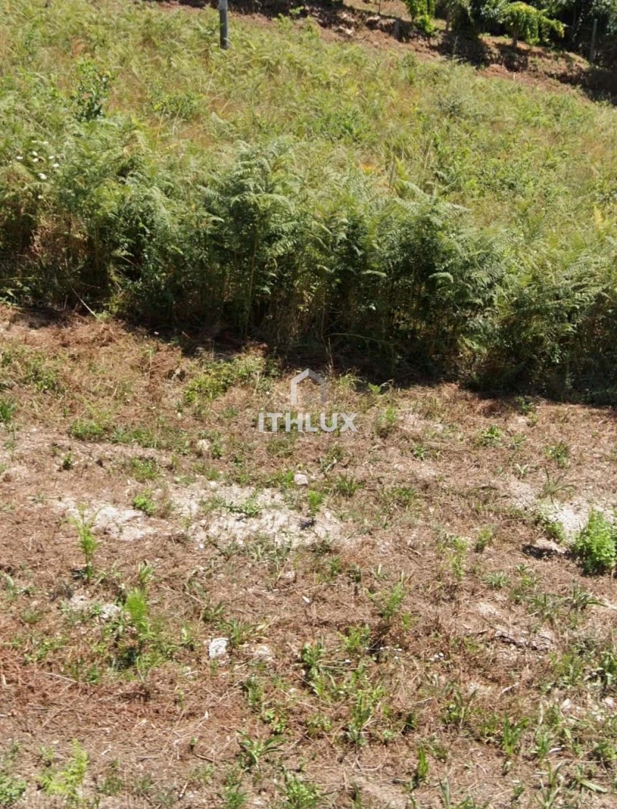 Terreno para Venda em Cabeceiras de Basto Foto 1