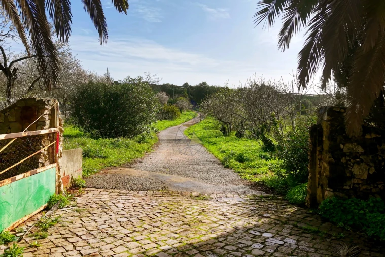 Moradia T5 para Venda em Guia Foto 30