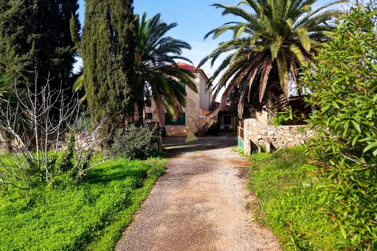 Moradia T5 para Venda em Guia Foto 5