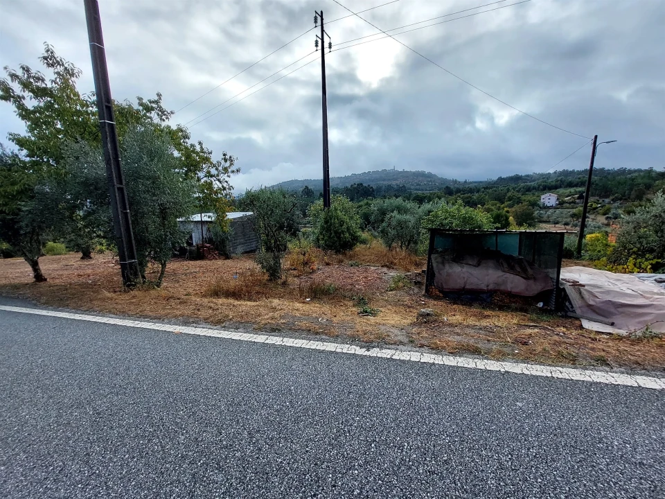 Terreno Agricola ou Rústico para Venda em Mangualde, Mesquitela e Cunha Alta Foto 2