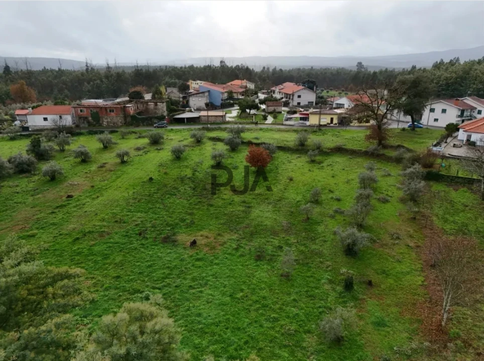 Terreno para Venda em Molelos Foto 8