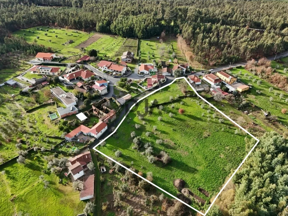 Terreno para Venda em Molelos Foto 1