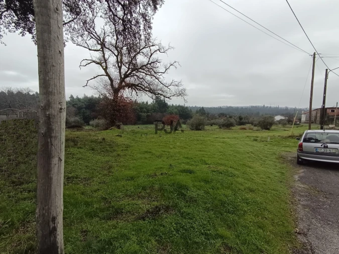 Terreno para Venda em Molelos Foto 3