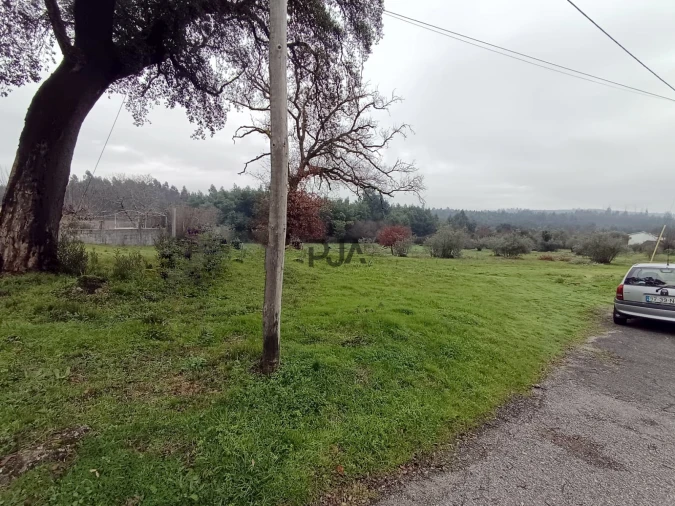 Terreno para Venda em Molelos Foto 4