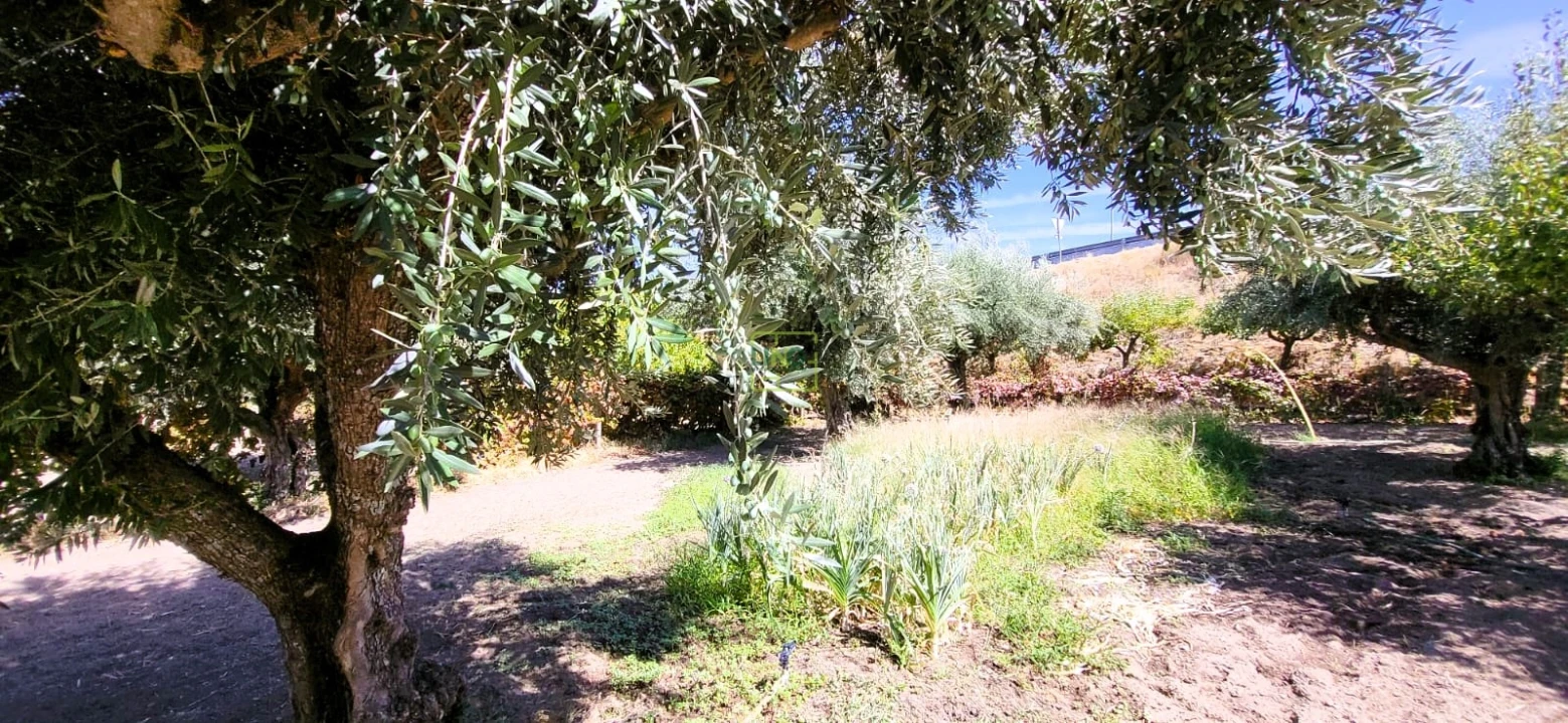 Moradia T4 para Venda em Castelo Branco Foto 47