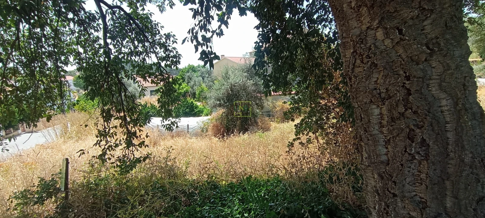 Terreno Agricola ou Rústico para Venda em Ninho do Açor e Sobral do Campo Foto 25