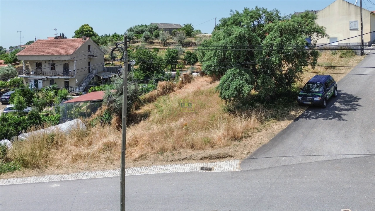 Terreno Agricola ou Rústico para Venda em Ninho do Açor e Sobral do Campo Foto 12