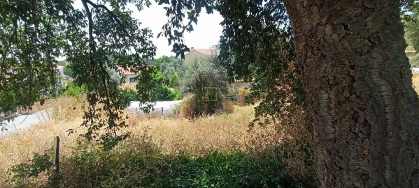 Terreno Agricola ou Rústico para Venda em Ninho do Açor e Sobral do Campo