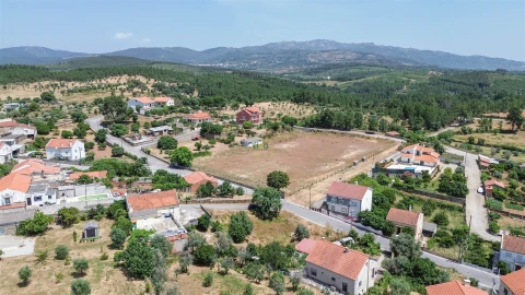 Terreno Agricola ou Rústico para Venda em Ninho do Açor e Sobral do Campo